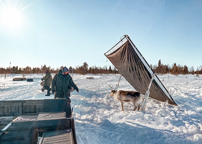 Filminspelning i norrland med renar och snö.